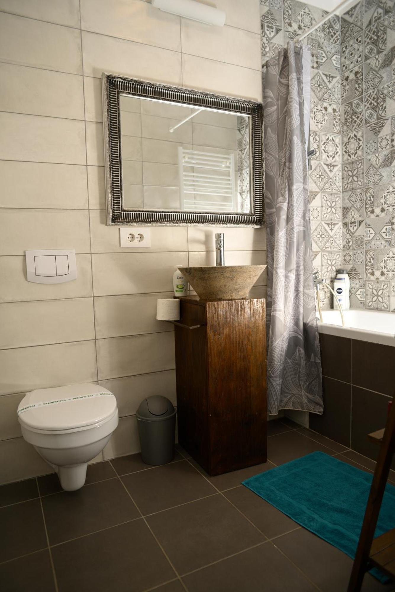 Mirvana Apartments Metheor Executive Suite Timişoara Eksteriør bilde